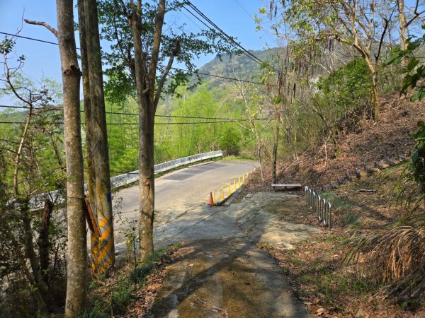 350高地、阿凰臘森林步道3033490