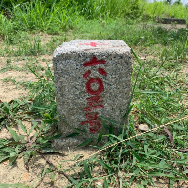 20250628高雄上平山2826353