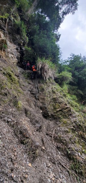 閂山鈴鳴-比人高的箭竹心累的鈴鳴1451546