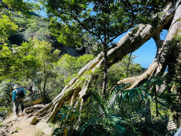 1150123里龍山2986676