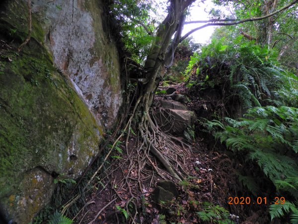 臺北市 文山 中埔山東峰817224