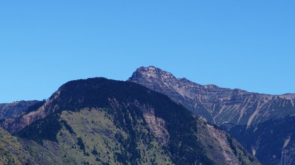 麟趾山。鹿林山1041889