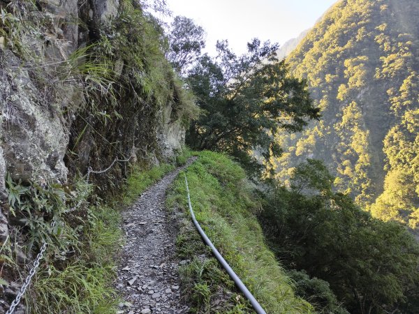 [玉山尋寶任務-07/12] 2025_0824 八通關雲龍瀑布步道2870532