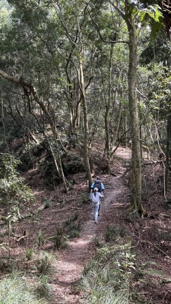 20260213 小百岳鳴海山3002958
