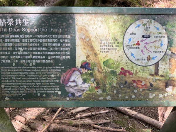 1150705塔關山3091615