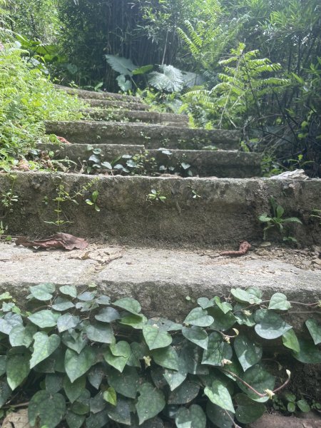 小百岳編號14-土庫岳、土庫岳東峰、山豬淚湖、山豬窟尖、山豬窟尖西南峰2154785