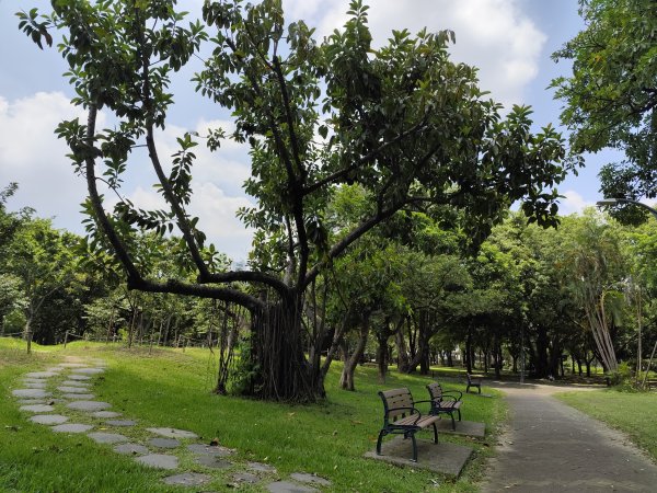 大港墘公園、大安森林公園、大稻埕、天母【走路趣尋寶】【臺北健走趣】2554245