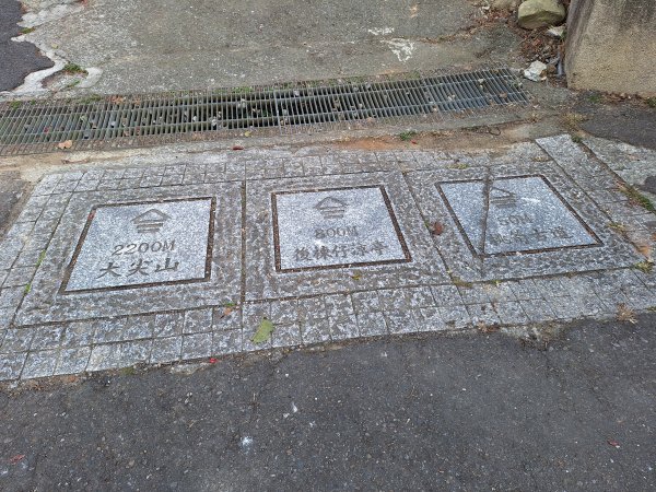 雲嘉大尖山(挑筍古道上)11502093045213