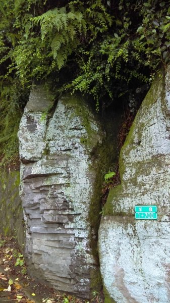 半嶺步道→橫嶺古道→福山綠地→前山公園1089358