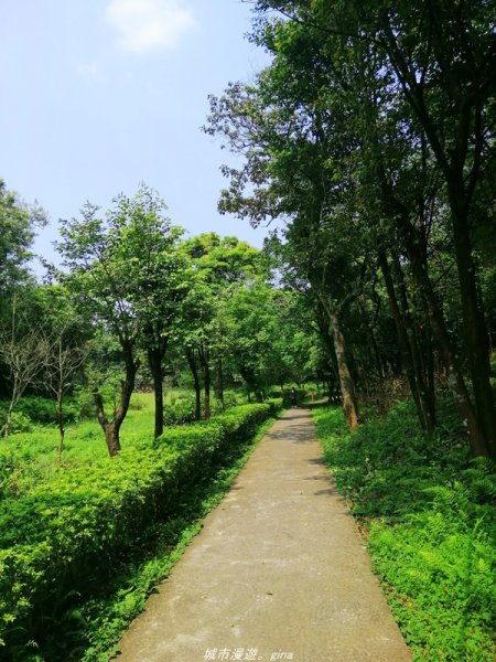 【基隆。仁愛】小百岳集起來。編號7小百岳~紅淡山步道1346379