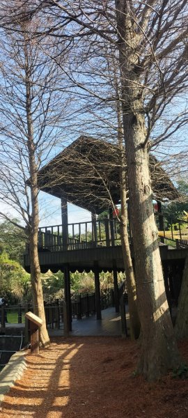 貓空樟湖、樟樹環型步道2414912