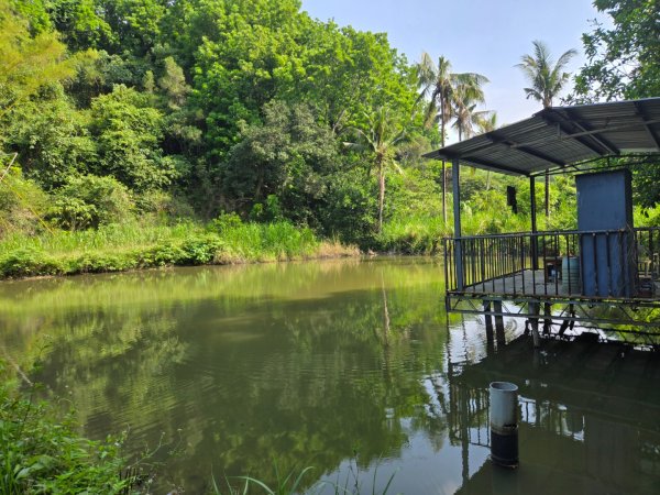 新化林場後山步道2776967