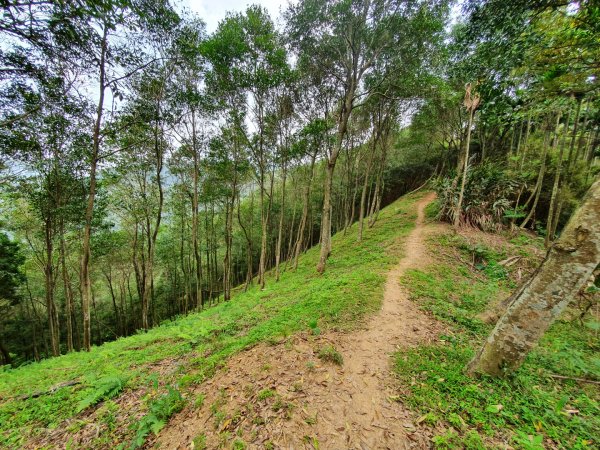 土城天上山，大暖尖山，猴洞，清水石門山，桐花公園，賞螢步道，承天禪寺，桃園福源山1645590