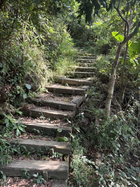 20251010南化龍麟山步道2914984