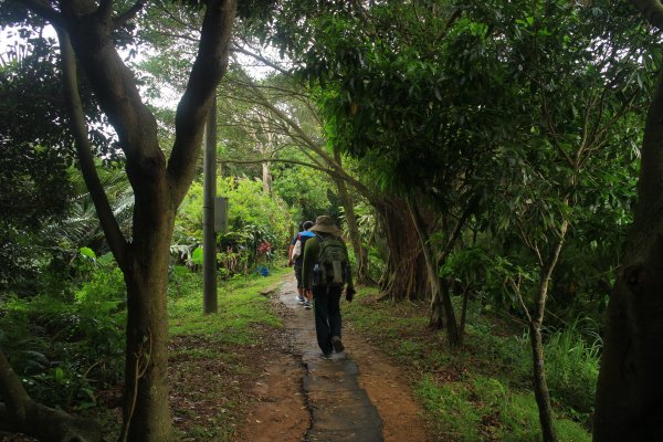 樹林．大同山登山步道2023/06/042210270