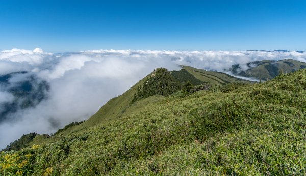 合歡主峰雲海之舞1129385