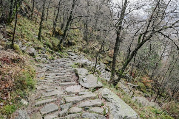 [挪威卑爾根Bergen] Stoltzekleiven Fløyen 健行步道2490903