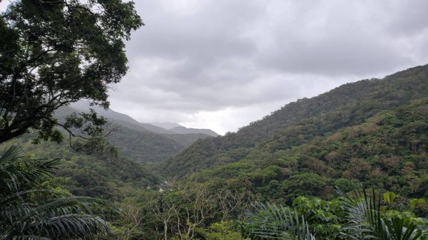 屏東山旅 – 雙流國家森林遊樂區（瀑布步道-沿山步道）2679937