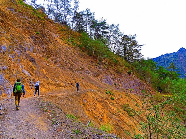 阿里山尋石山，五彩繽紛的石山引水道792453