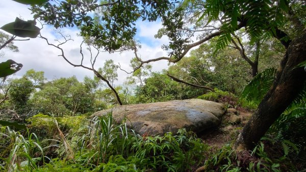 燕溪古道-大崙尾山西峰-仙座台山-圓明寺步道2926542