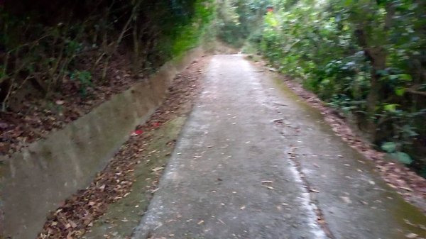 20221229 阿罩霧山 中心瓏步道 玉蘭谷 櫻花步道 大O型1975655