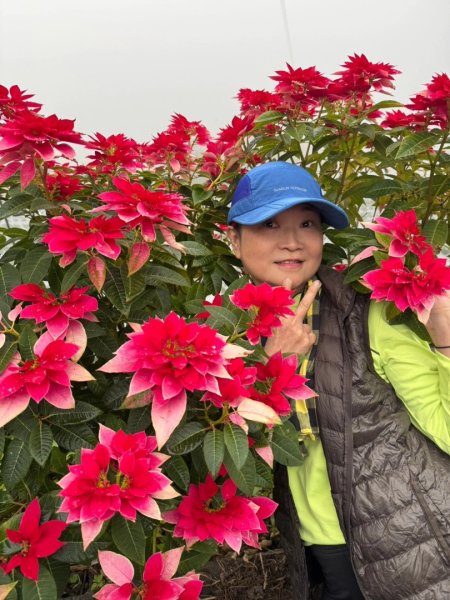 小百岳馬那邦山(H1407m)加碼採草莓2694713