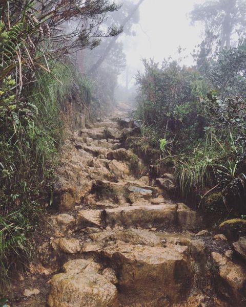 Gunung Kinabalu 神山153114