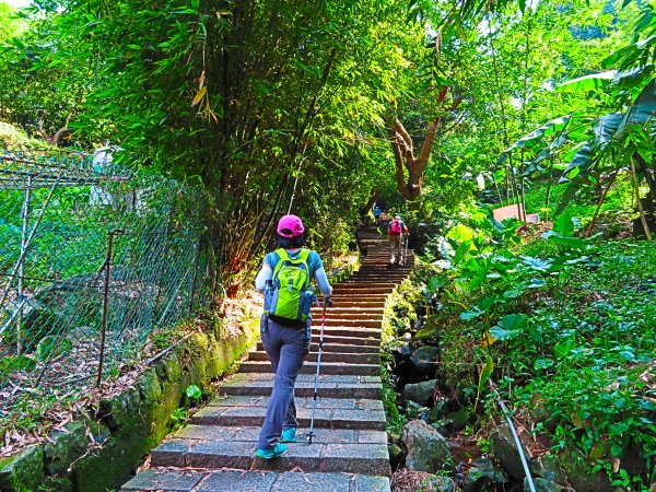 夏季清涼步道：翠峰瀑布與步道619547