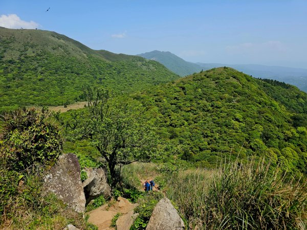 2025年臺北大縱走第二段： 二子坪至小油坑2763788