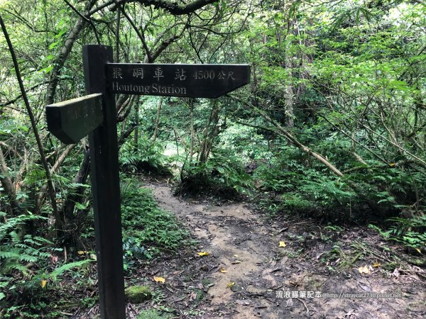 三貂嶺越嶺猴硐步道1035718