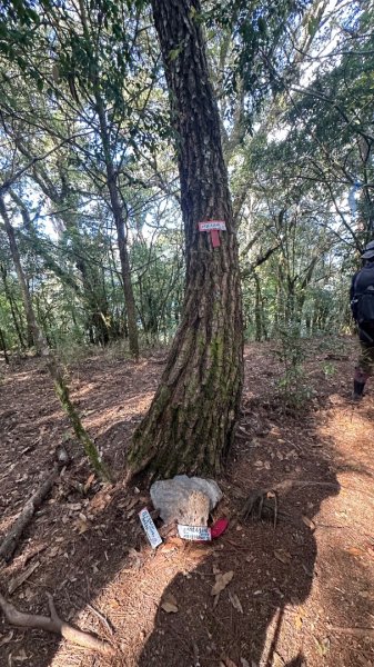 馬武霸下武陵2962373