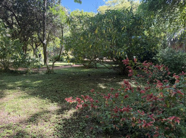 [紐約馬之行-60] 2025_1114 卡洛斯·泰斯植物園-下2954214