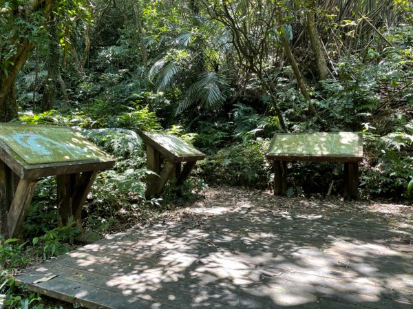 新北｜瑞芳．雙溪 淡蘭古道中路．暖東舊道（TK2-1~2-5 暖東峽谷步道、暖東舊道、五分山步道）2004174