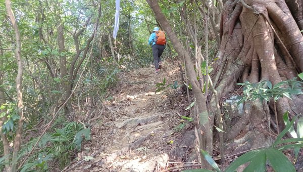 (姨婆趴趴走)第四十九集:攀登連走宜蘭梗枋山、橋板湖山2747718