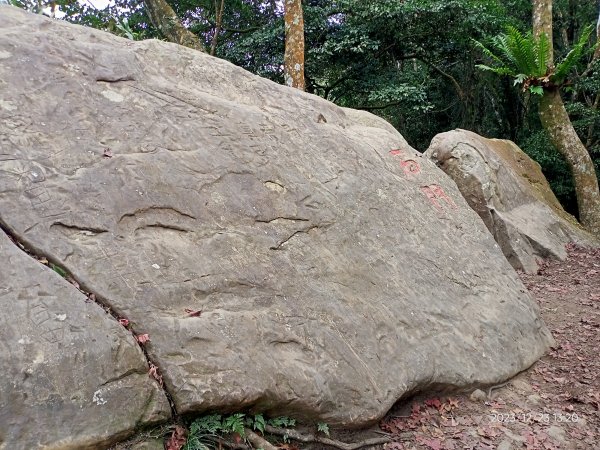四訪苗栗的花果山-小百岳#037馬那邦山、雪霸國家公園管理處【小百岳集起來、苗栗-臺灣百大必訪步道】2394364