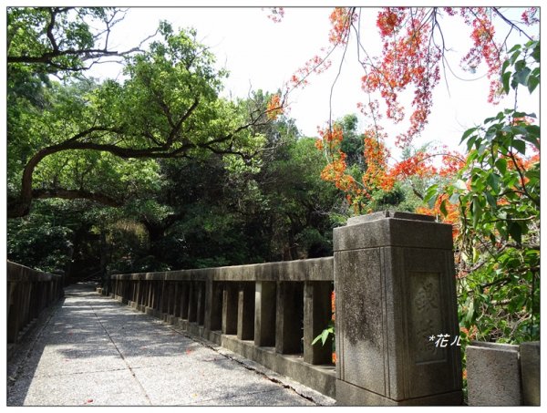 八卦山/文學步道967676