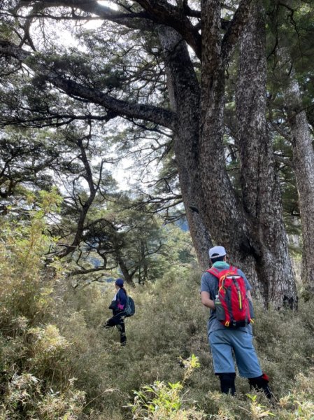 楠梓仙溪上南玉山1373090