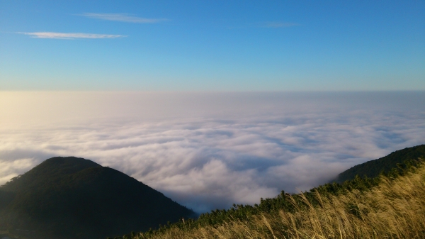 大屯山雲海82246