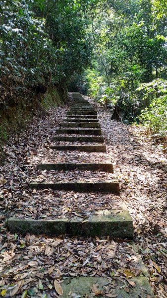 日月潭青年活動中心上水社大山574511