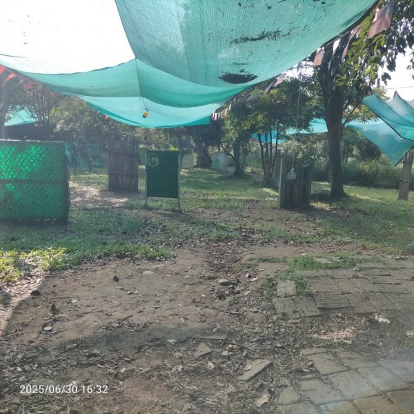 漢卿步道、秀才歩道（湖口萬善祠中元）2894427