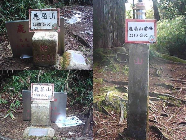 深藏於「杉林溪」鹿屈山前峰、鹿屈山連峰縱走