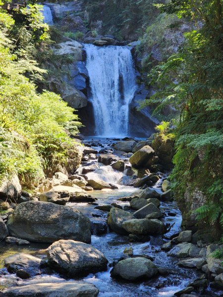 新北烏來｜內洞國家森林遊樂區步道群2904751