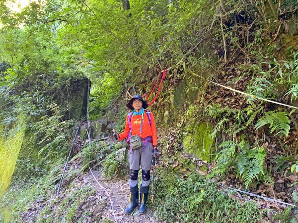 鳶嘴稍來神木、稍來山O型走20209151102461