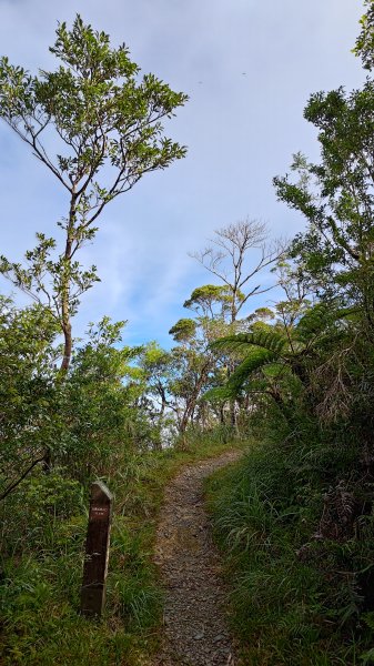 具瑪努山、崁頭窩山2645435