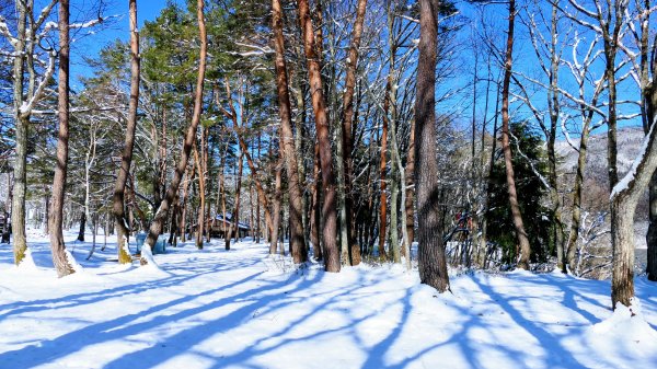 冬日的祈禱合掌村2981191