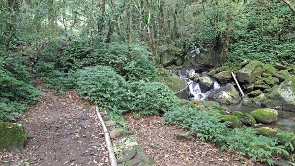 20240305坪頂古圳-登峰圳-內雙溪古道-瑪礁古道-大崎頭步道O繞2447222