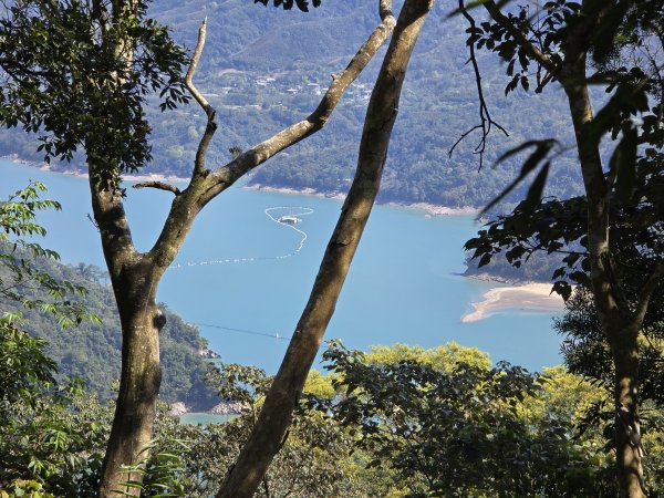 20260314 小百岳-桃園大溪溪洲山3050629