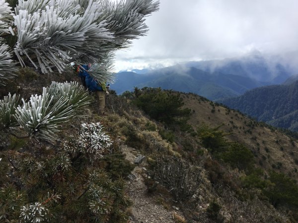 八通關山、八通關山西峰、秀姑巒山526170