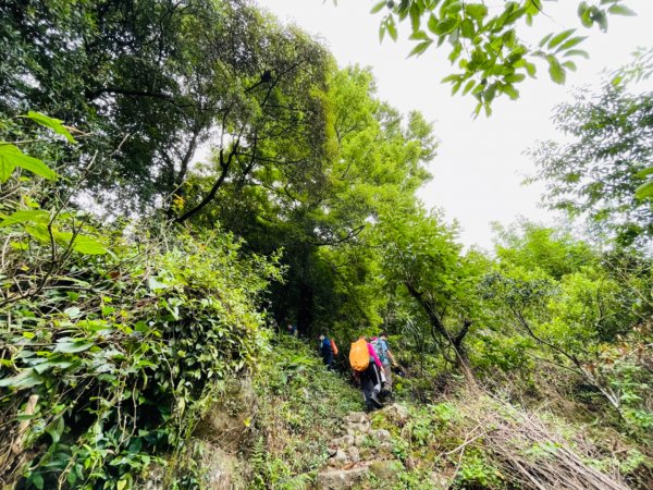 熱爆（頂山溪山，瑪番山）1752828