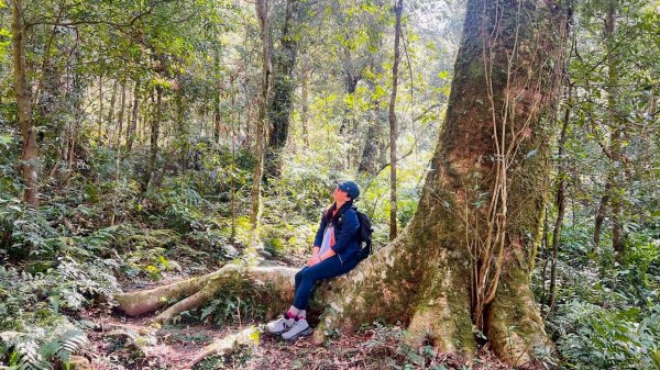 🌈3/14（六）赫威神木群+赫威山✨FB：熊熊趴爬走🌈3015370